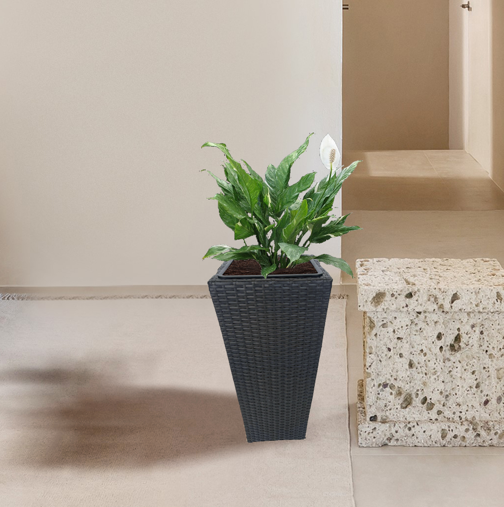 HC Garten & Freizeit Blumentopf Rattan Optik mit Plastiktöpfen eckig konisch