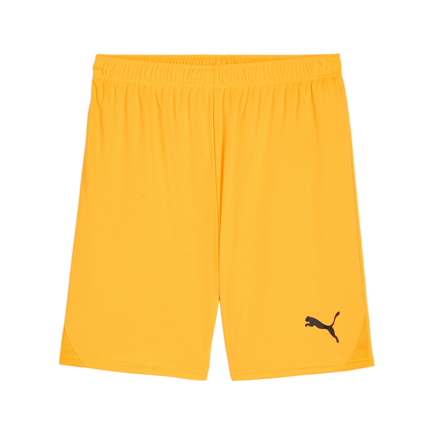 PUMA teamGOAL Short Orange Schwarz F61