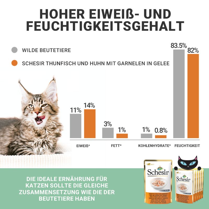Schesir Jelly Pouch 6 x 85 g zu TOP-Preisen