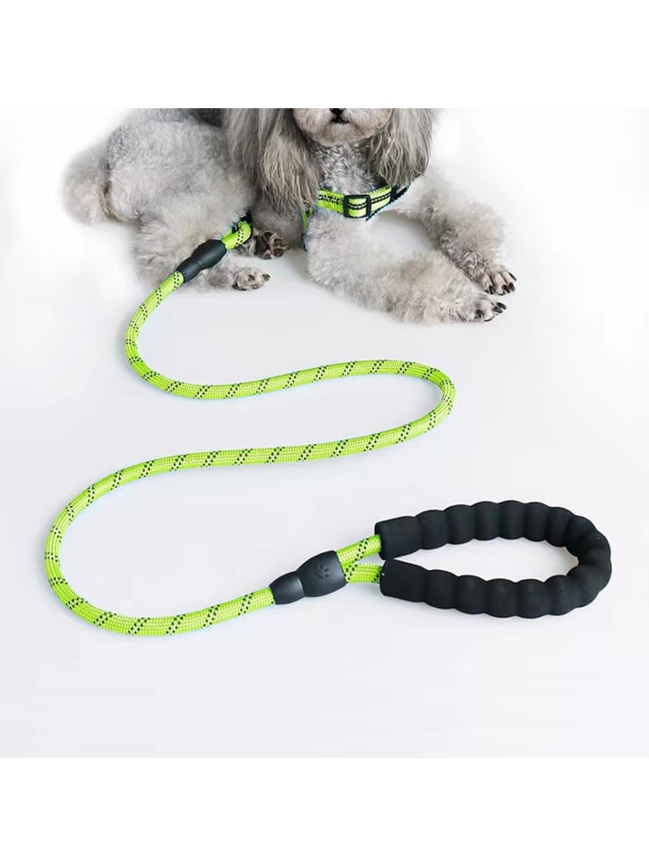 Intirilife Reflektierende Nylon Hundeleine 1.5m in Grün günstig kaufen onesize