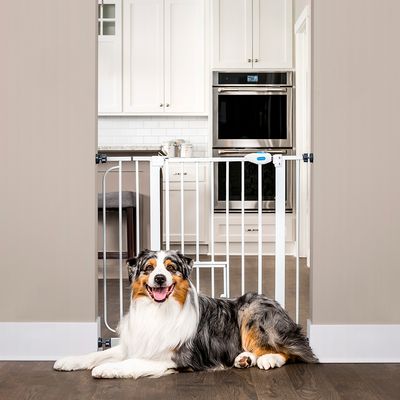 Carlson Absperrgitter Pet Gate mit Katzentür