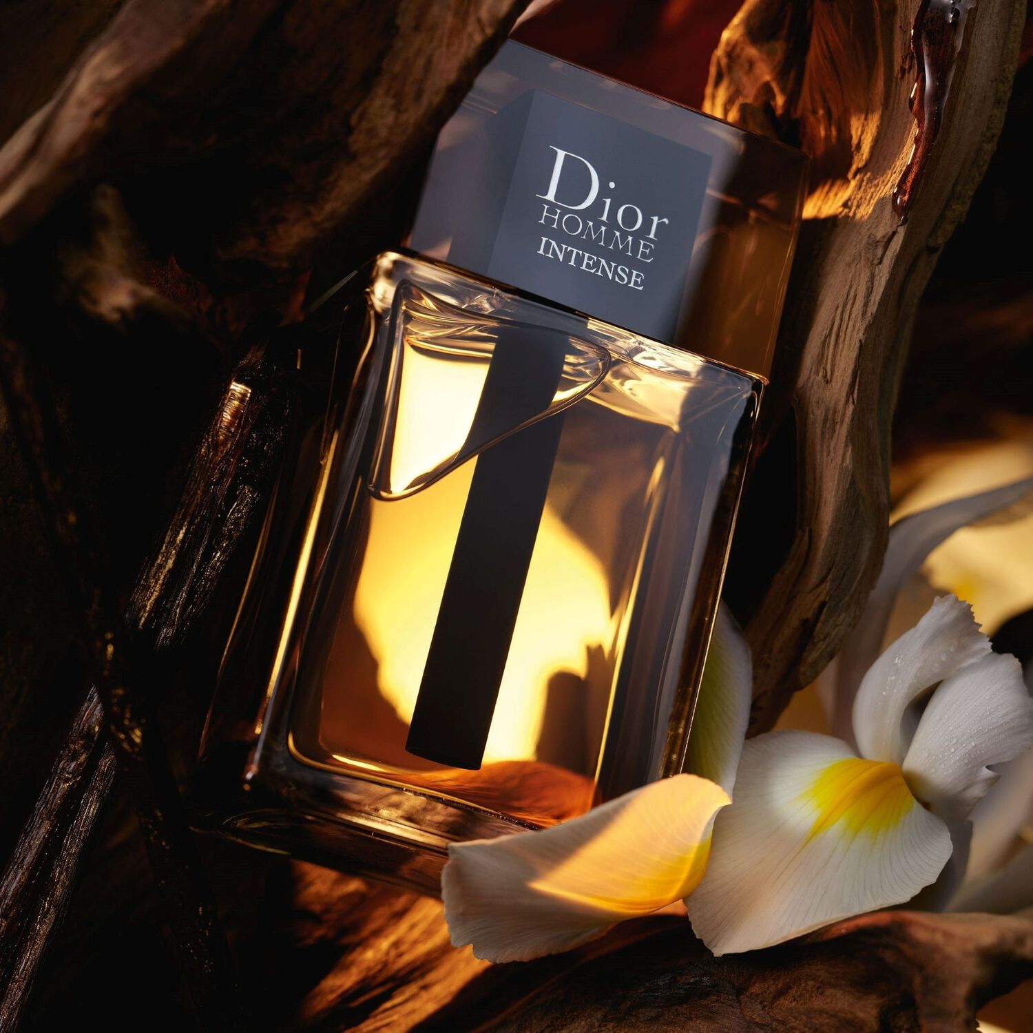 Dior Dior Homme Intense Eau de Parfum