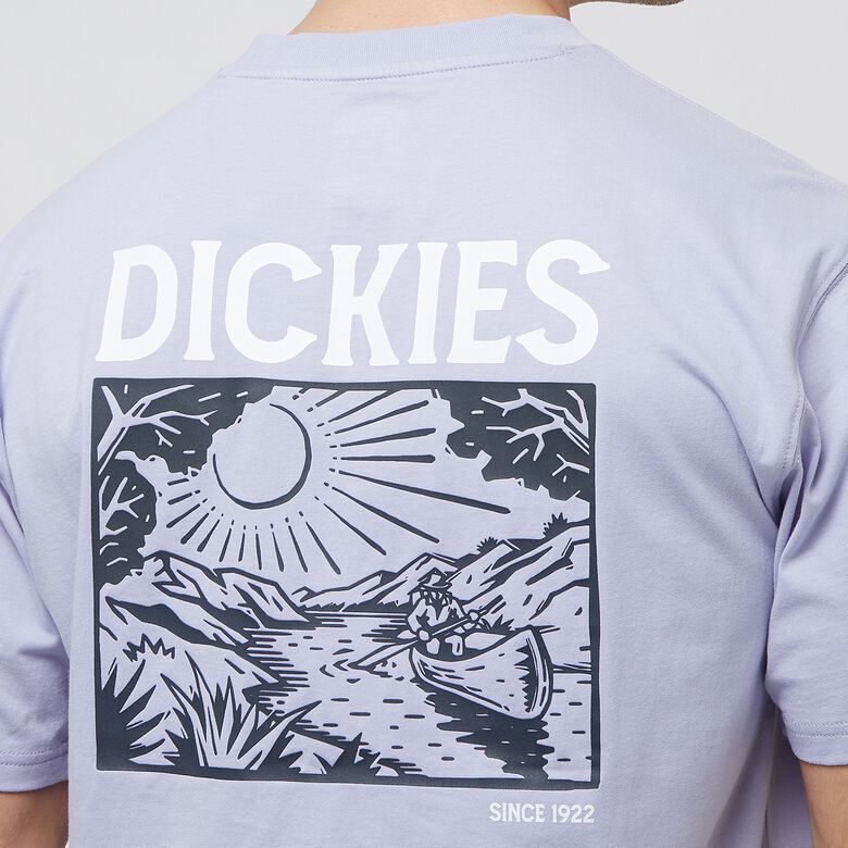 Dickies Patrick Springs Tee Short-Sleeve cosmic sky