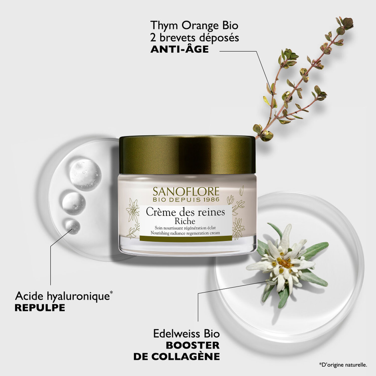 Sanoflore Crème des Reines Riche Soin Anti-âge Régénérant 50 ml