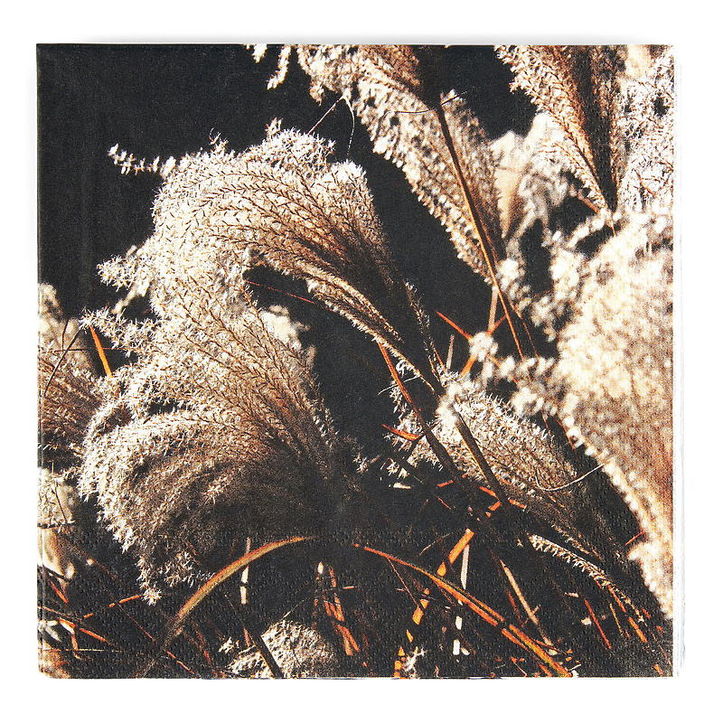 Vie Eco Servietter 20-pk 33x33 cm