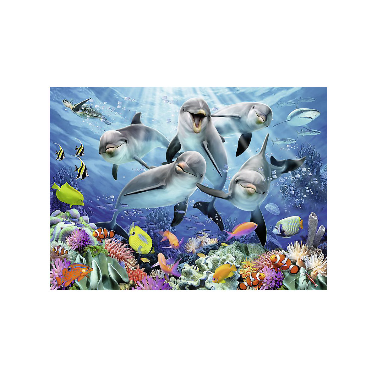 Puzzle 500 Teile, 49x36 cm, Delfine im Korallenriff