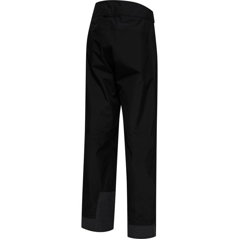 Haglfs Alpine GTX Pant Funktionshose Herren