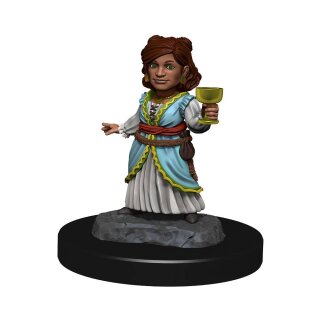 D&D Nolzur's Marvelous Miniatures - Silver Dragon Wyrmling & Female Halfling