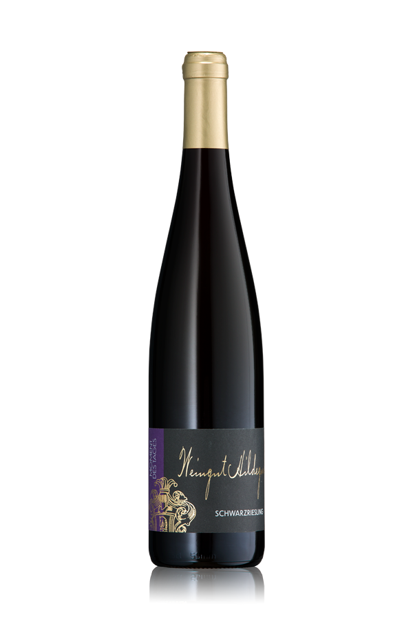 Schwarzriesling Weingut Hildegardishof