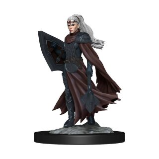 D&D Nolzur's Marvelous Miniatures - Kalashtar Cleric Female