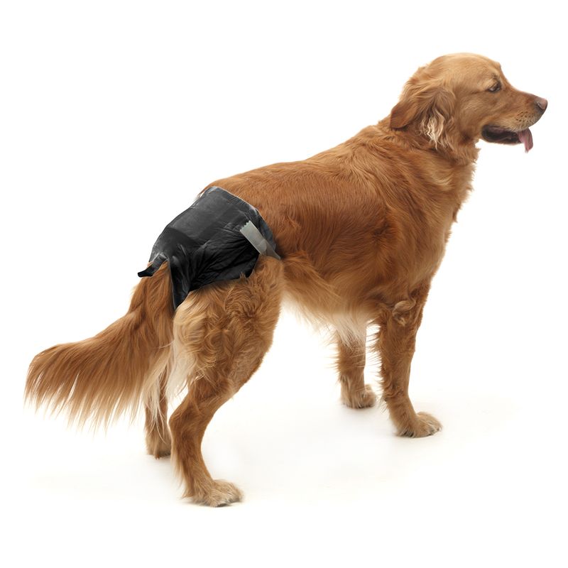 Savic Hundewindel Comfort Nappy zu TOP-Preisen