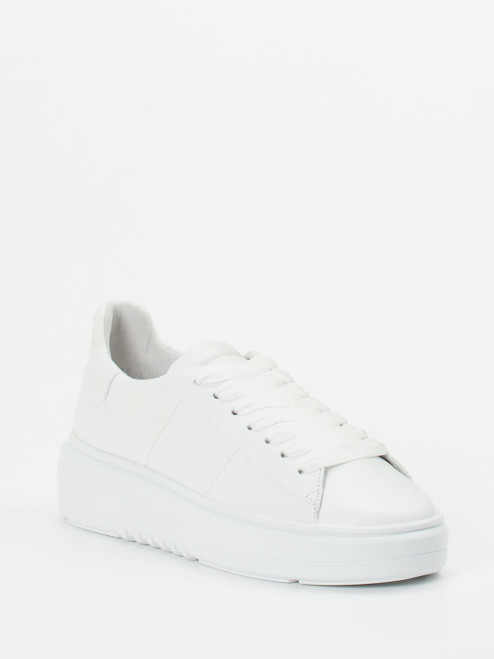 Sneaker-16637990256 Kennel & Schmenger