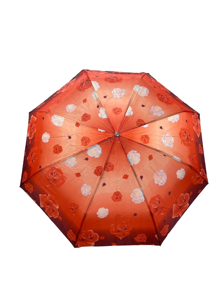 ANELY Kleiner Regenschirm Paris Gemustert Taschenschirm in Rot günstig kaufen onesize