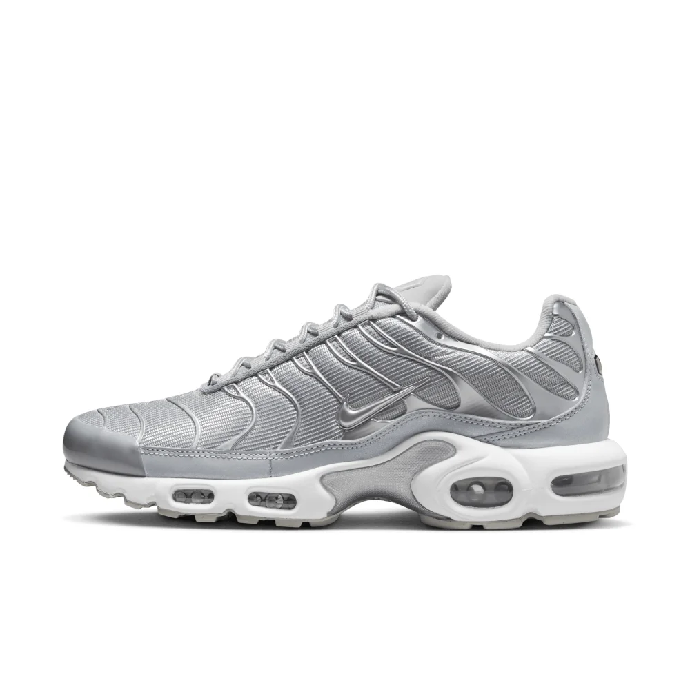 Nike Air Max Plus FJ1012-095 / grau