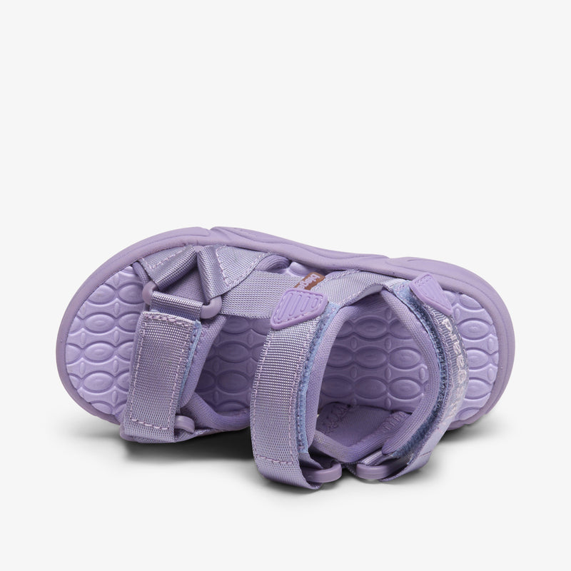 louis lavender - Violett