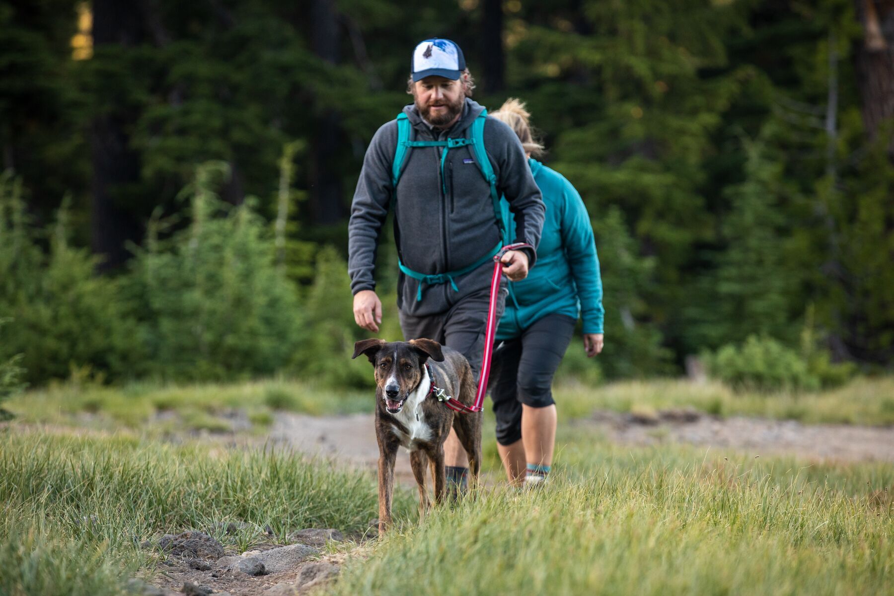 Ruffwear Hundeleinen Ruffwear Crag™ Leine rot