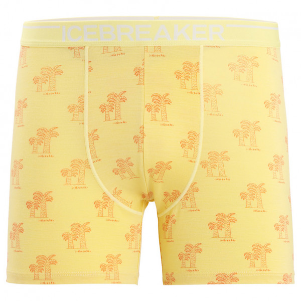 Icebreaker - Anatomica Boxers - Merinounterwäsche