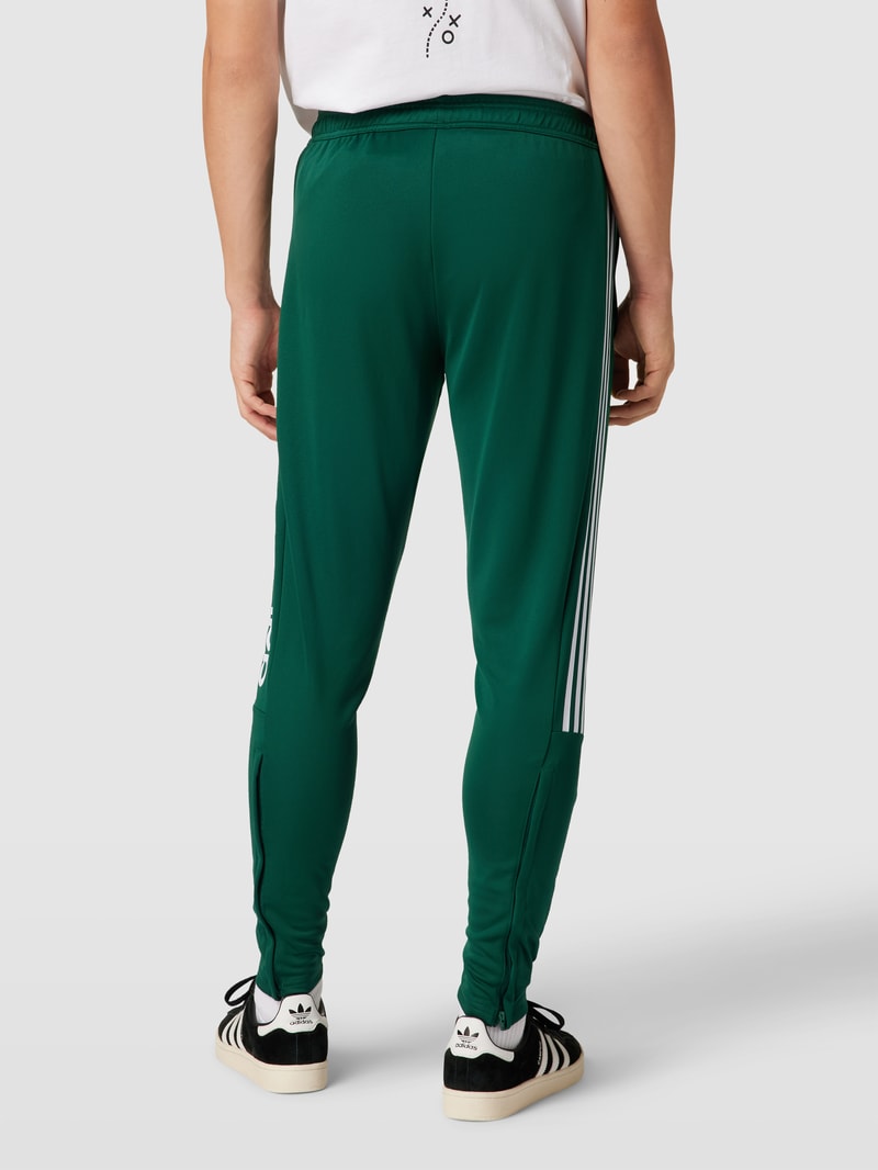 Sweatpants mit Label-Stitching Modell 'TIRO' in bottle
