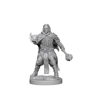 Human Male Cleric: Pathfinder Deep Cuts Unpainted Minis