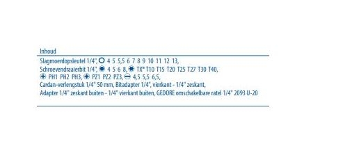 Gedore 2998211 666-U-20 Zestaw kluczy nasadowych 1/4