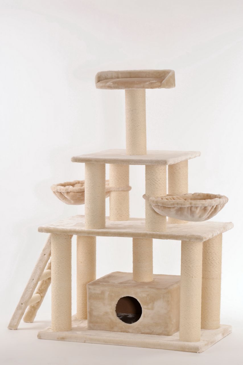 Silvio Design Katzenbaum Ginni
