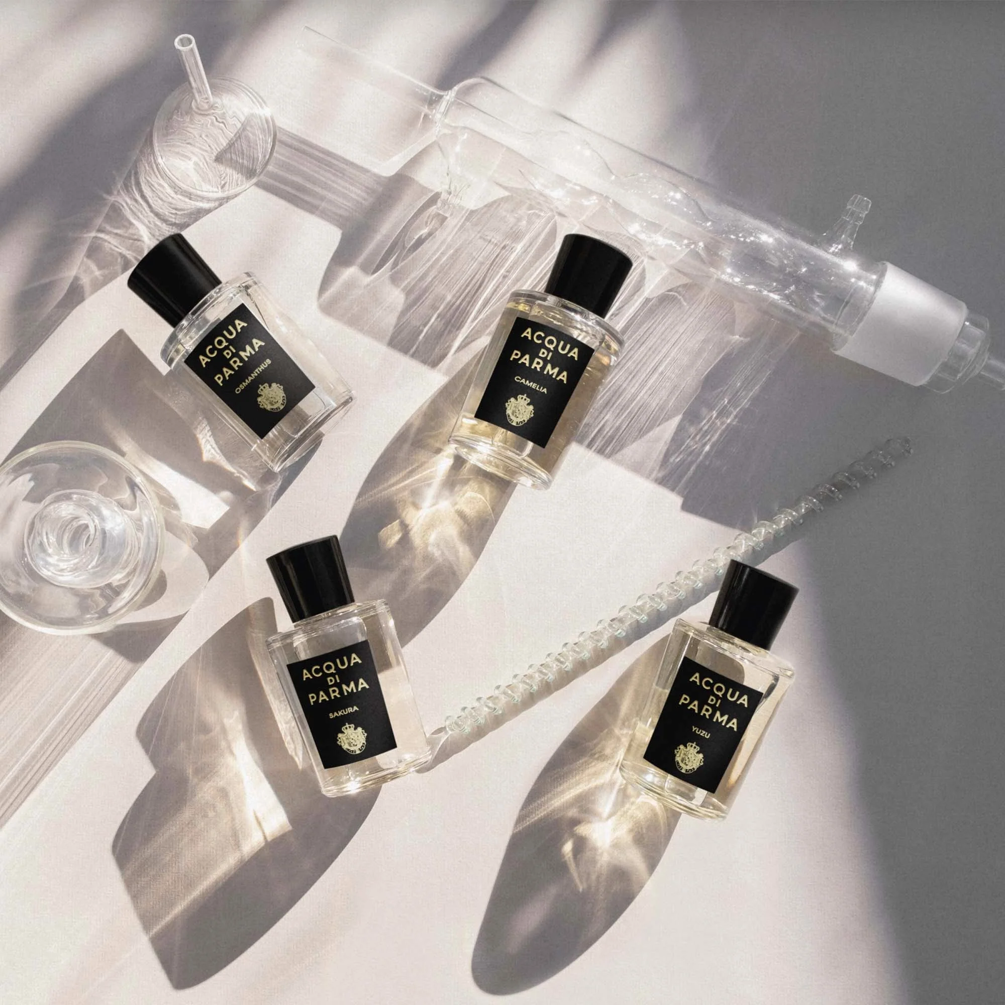 Signatures of the Sun Osmanthus - Eau de Parfum Unisex, Eau de Parfum