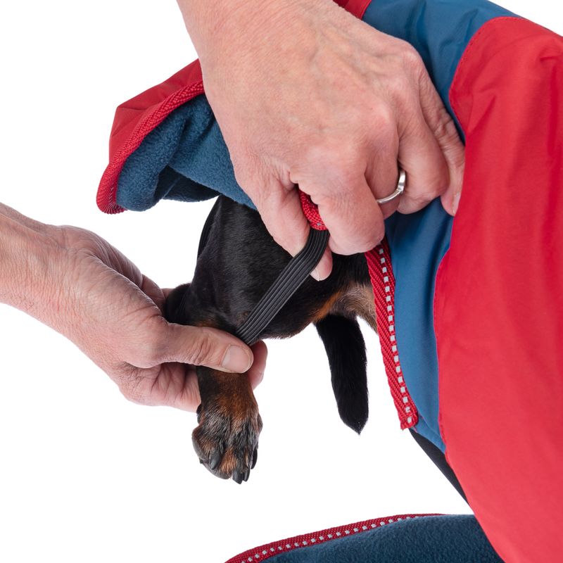 Nomad Tales Bloom Hundemantel Sunset zu TOP-Preisen