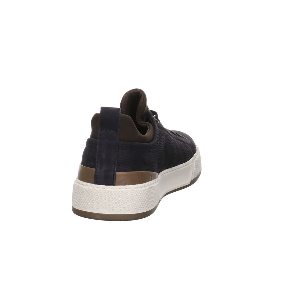 SALAMANDER Tivo Sneaker