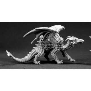 Young Fire Dragon (REA03332)