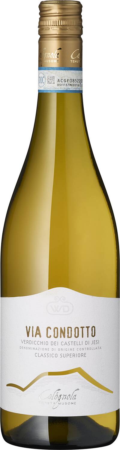 Tenuta Musone Via Condotto Verdicchio Marken 2022