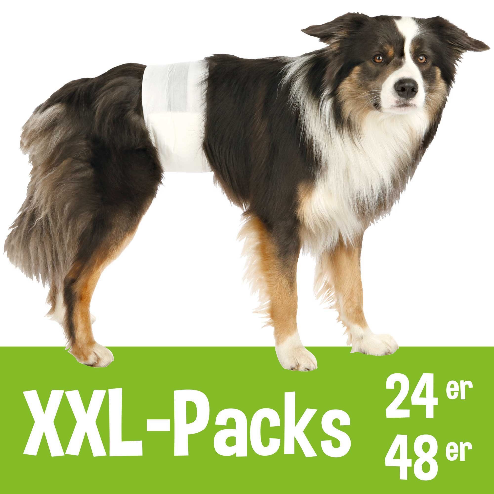 Schecker Hundewindel Rüdenwindeln im Mehrpack
