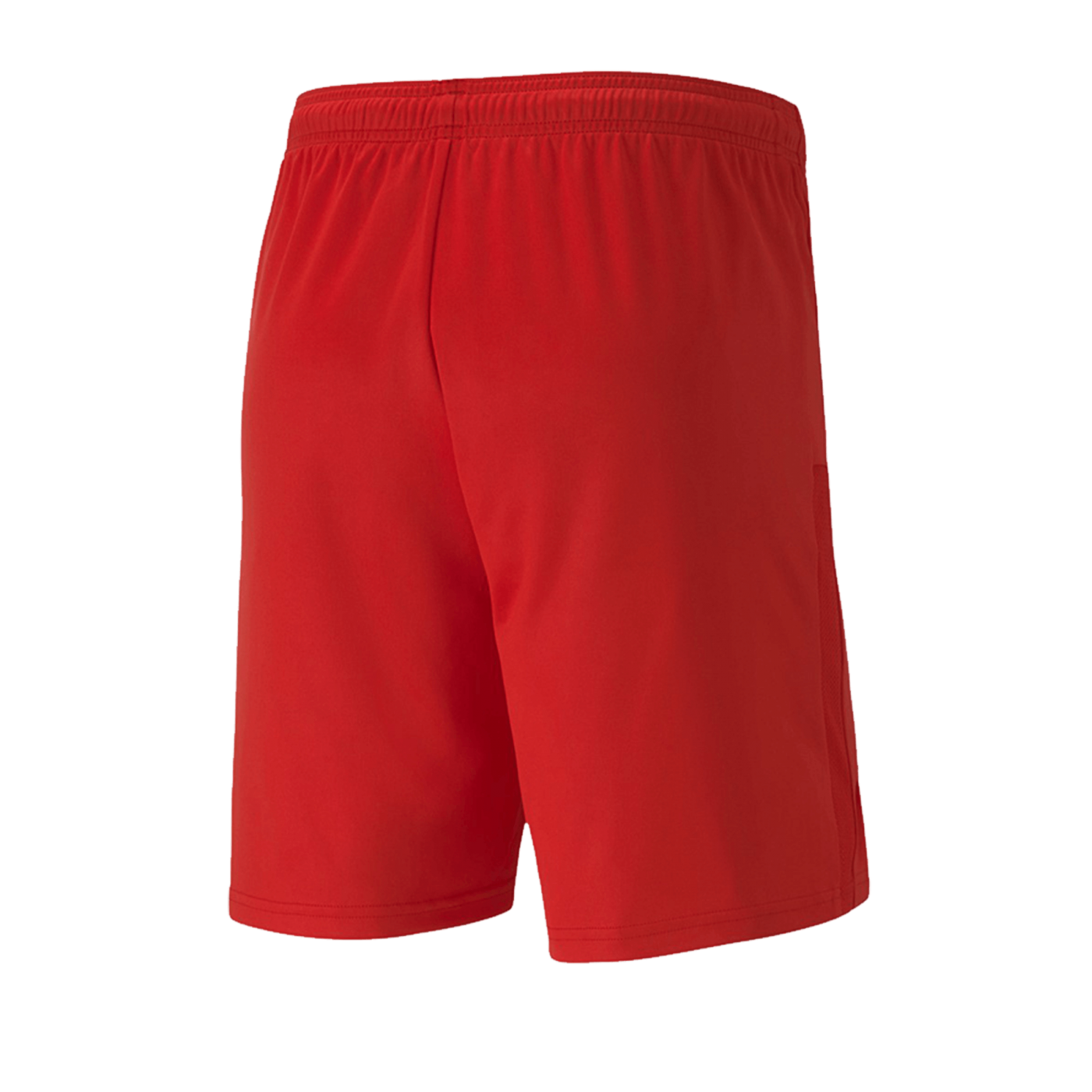 PUMA teamGOAL 23 Knit Short Rot F01
