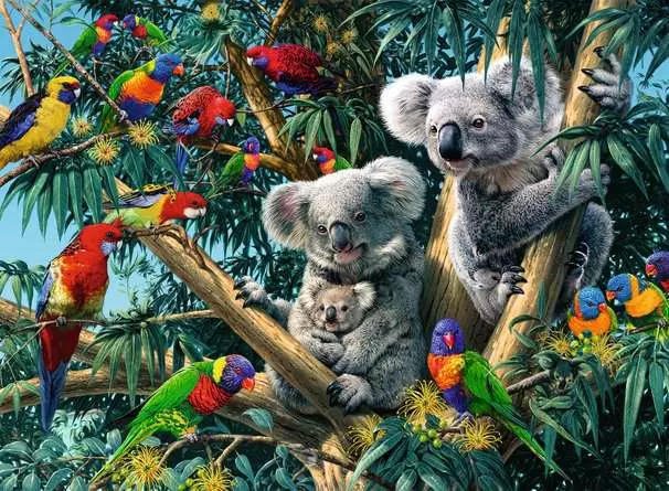 Puzzle 500 Teile - Koalas im Baum