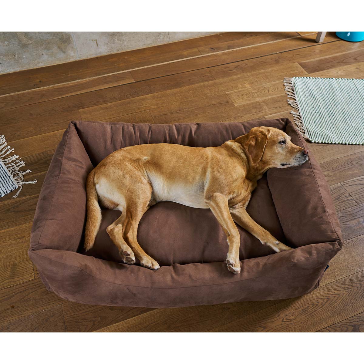 ZooRoyal Hundebett Dream braun günstig kaufen