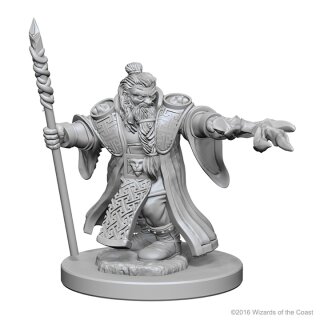 Dwarf Male Wizard: D&D Nolzurs Marvelous Unpainted Minis