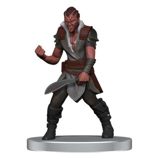Pathfinder Battles Miniaturen: Impossible Lands - Heroes and Villains Boxed Set (8) (pre-painted)