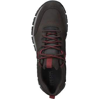 Geox U Delray B ABX Sneaker in braun