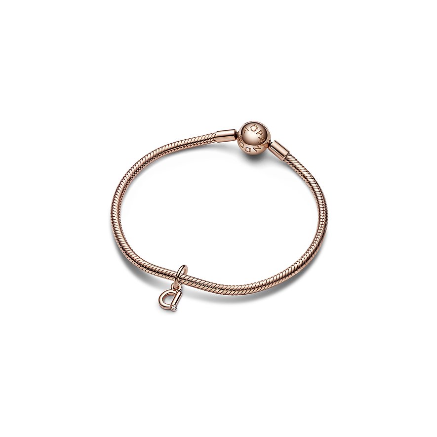 Pandora Charm Moments