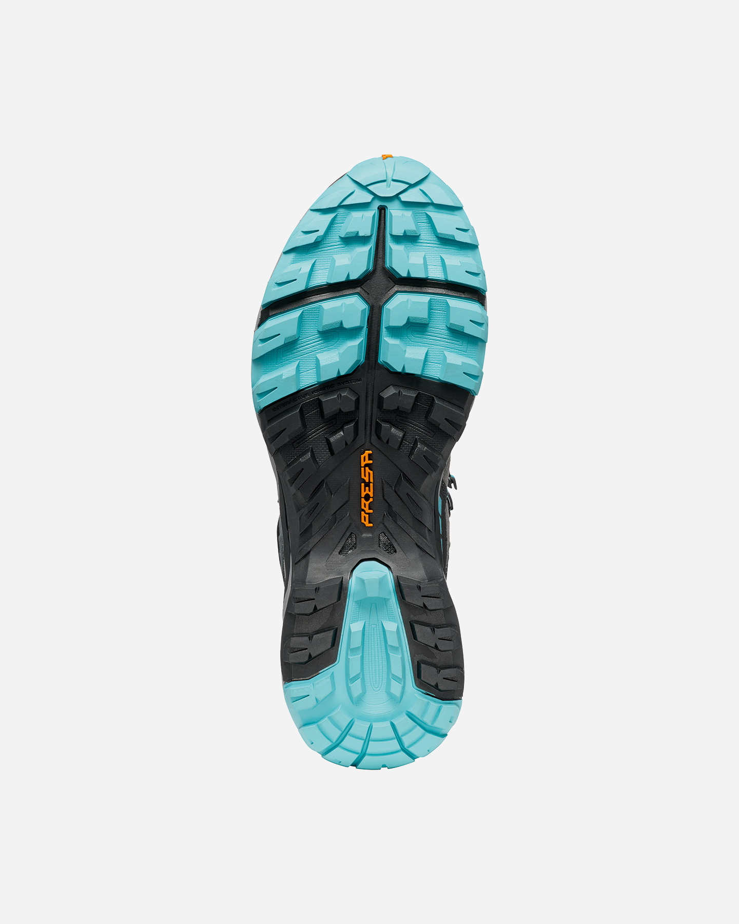 Buty górskie Scarpa Rush Trk GTX W 63143-202/3