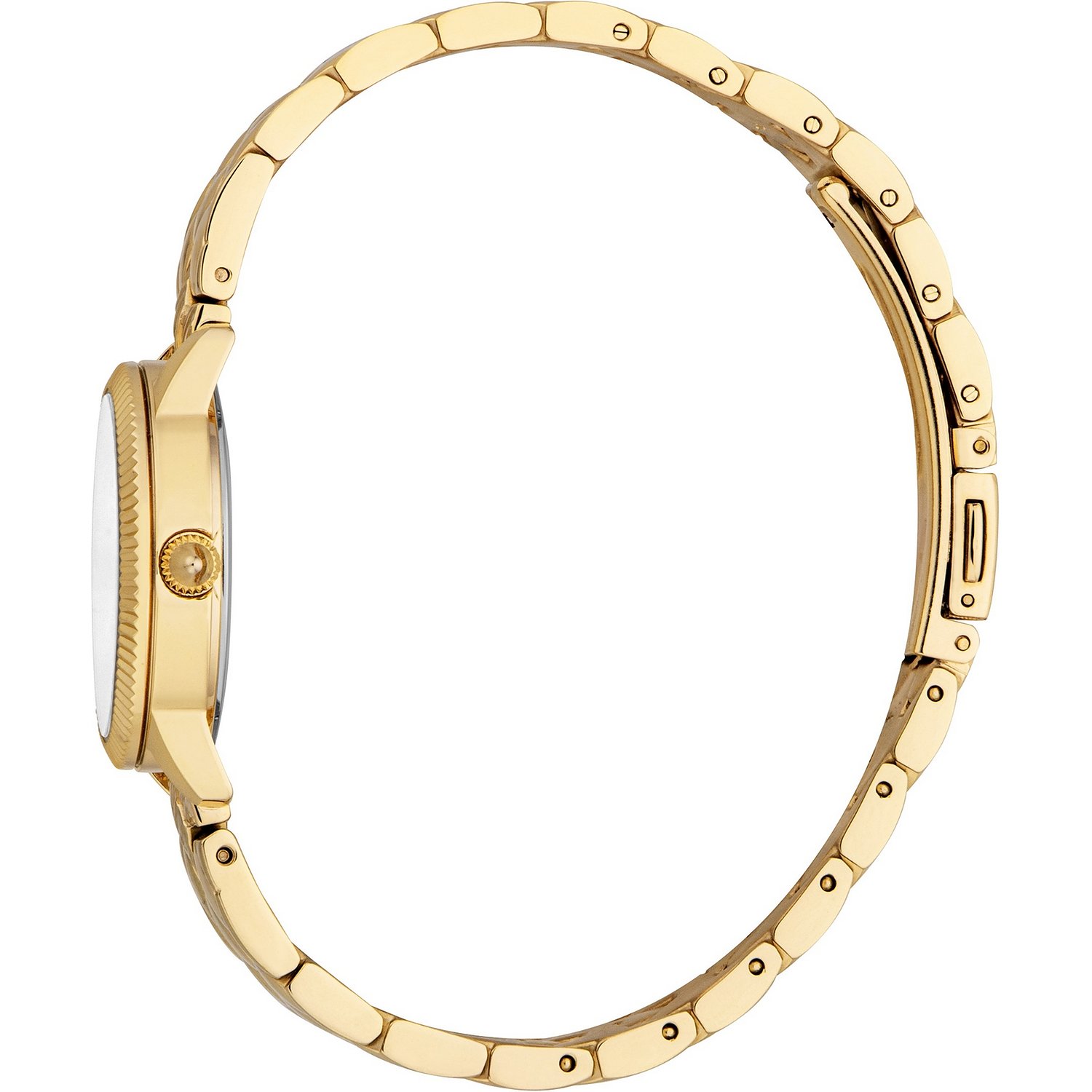Relojes Roberto Cavalli