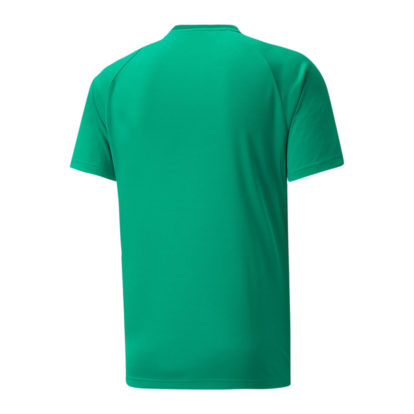 PUMA teamVISION Trikot Grün F05