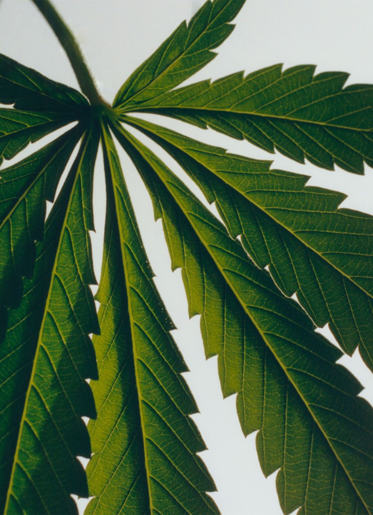 LOEWE Mini Duo Box of Solid Cannabis Sapun - zeep