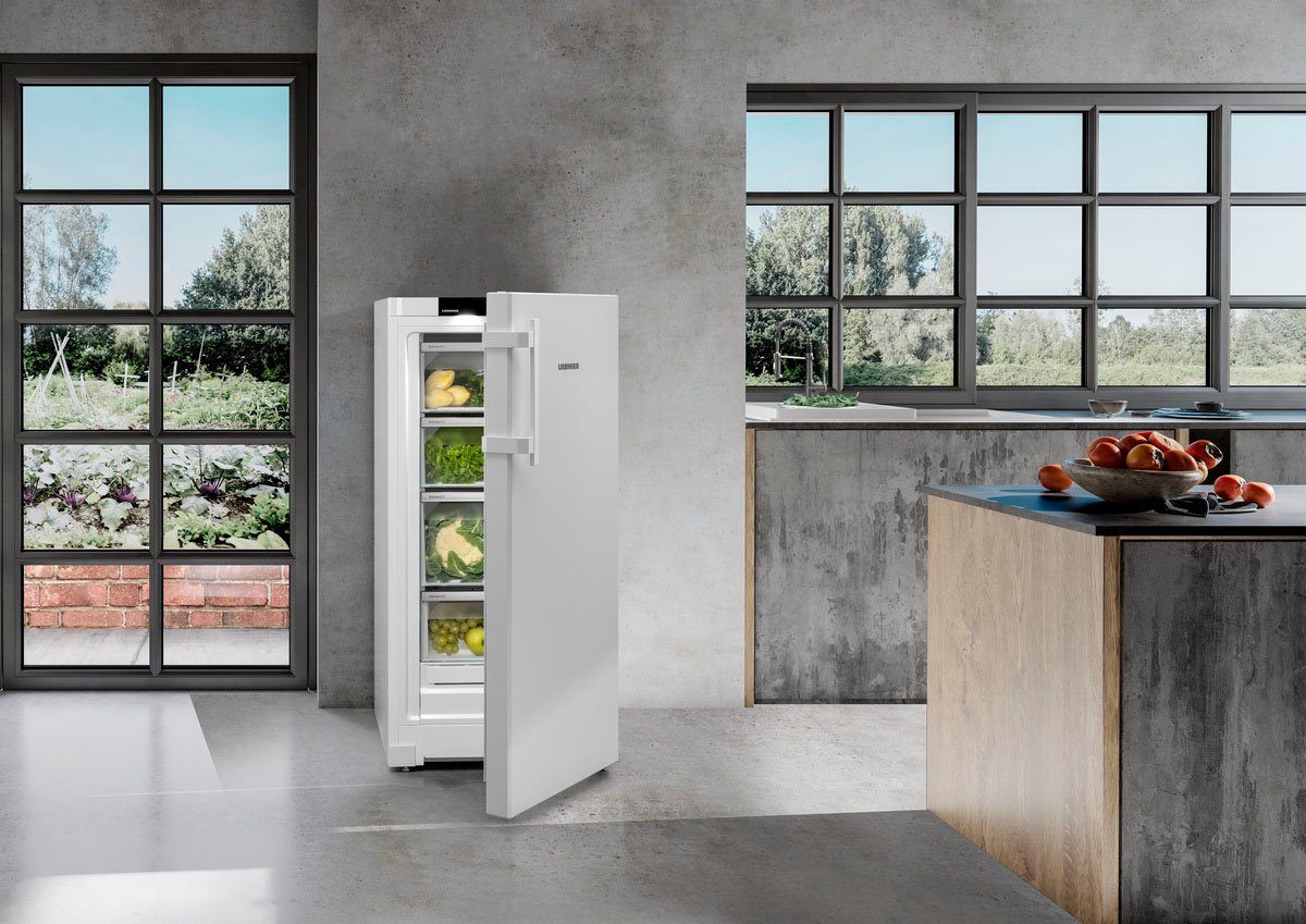 Liebherr Kühlschrank RBa 4250-20, 125,5 cm hoch, 59,7 cm breit, mit BioFresh