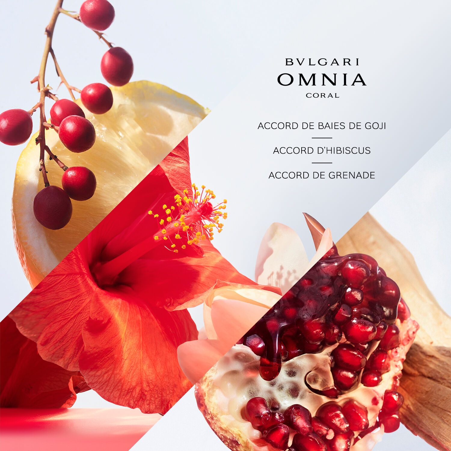 Bulgari Omnia Coral Eau de Toilette