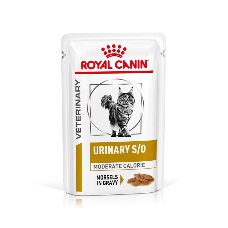 Sparpaket Royal Canin Veterinary 48 x 85/195 g