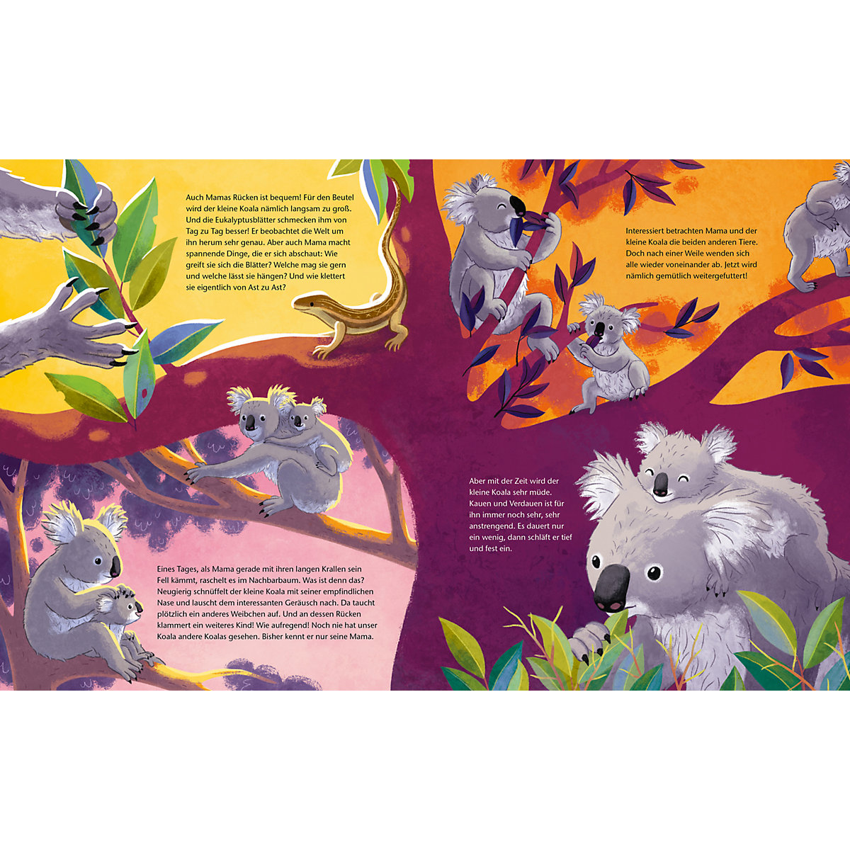 Der kleine Koala - Zu Hause im Eukalyptus