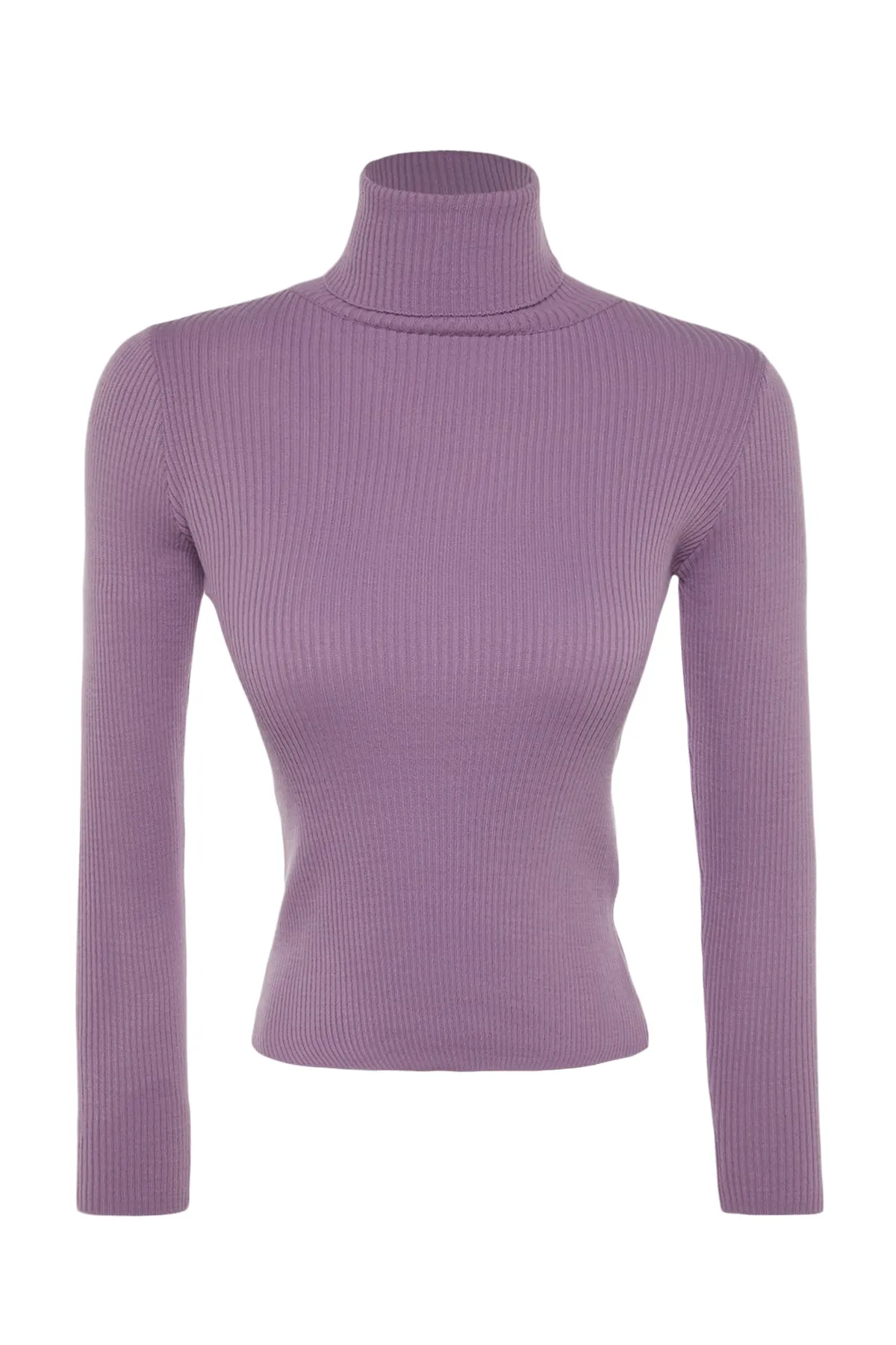 Trendyol Collection  Lilafarbener Basic-Rollkragenpullover TWOAW21KZ1279