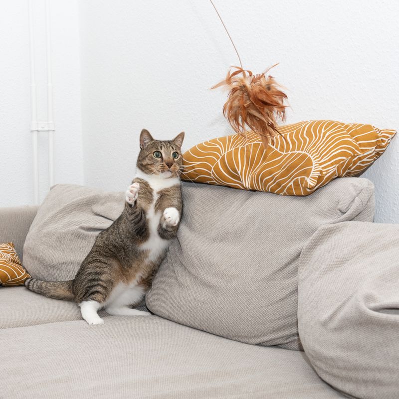TIAKI Katzenangel mit Federn zu TOP-Preisen