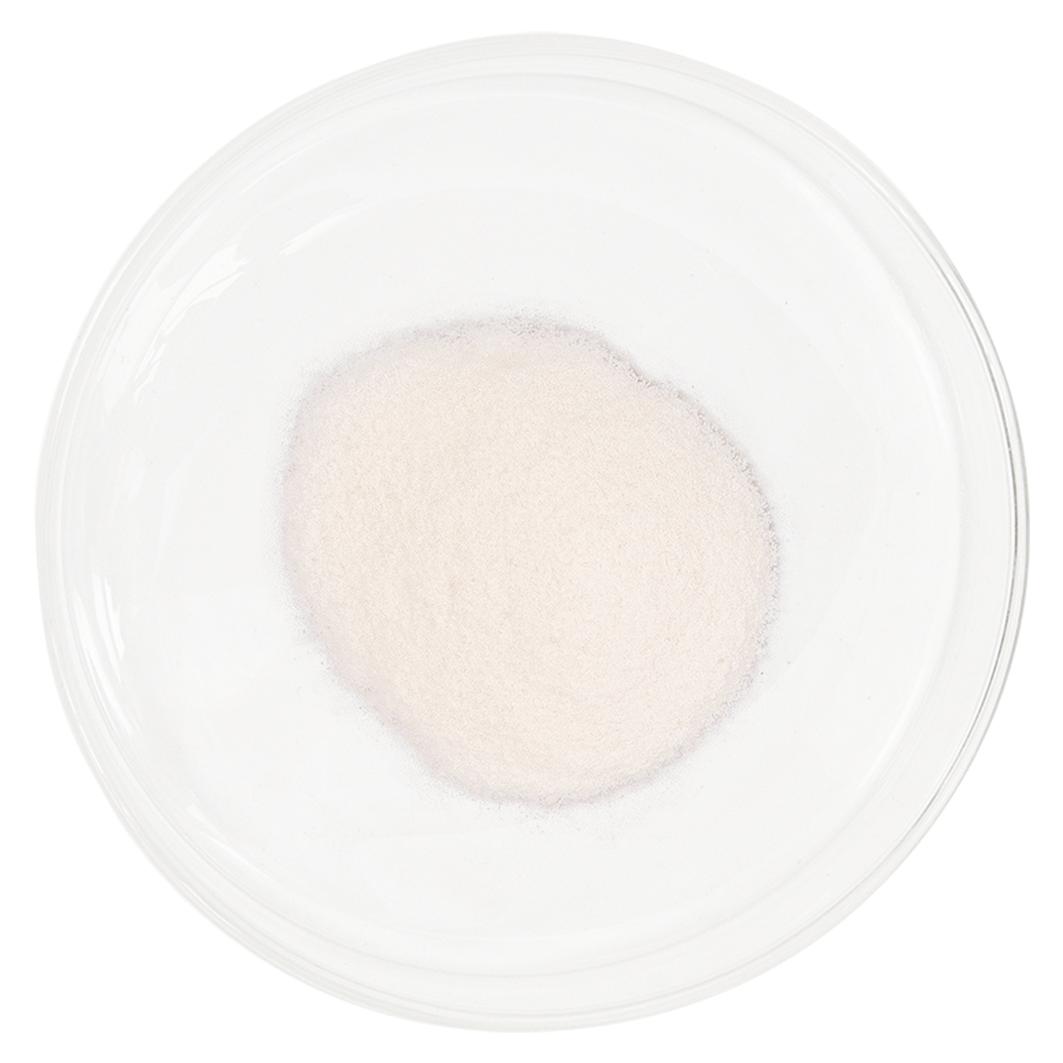Natural Marine Collagen Sachets Peach