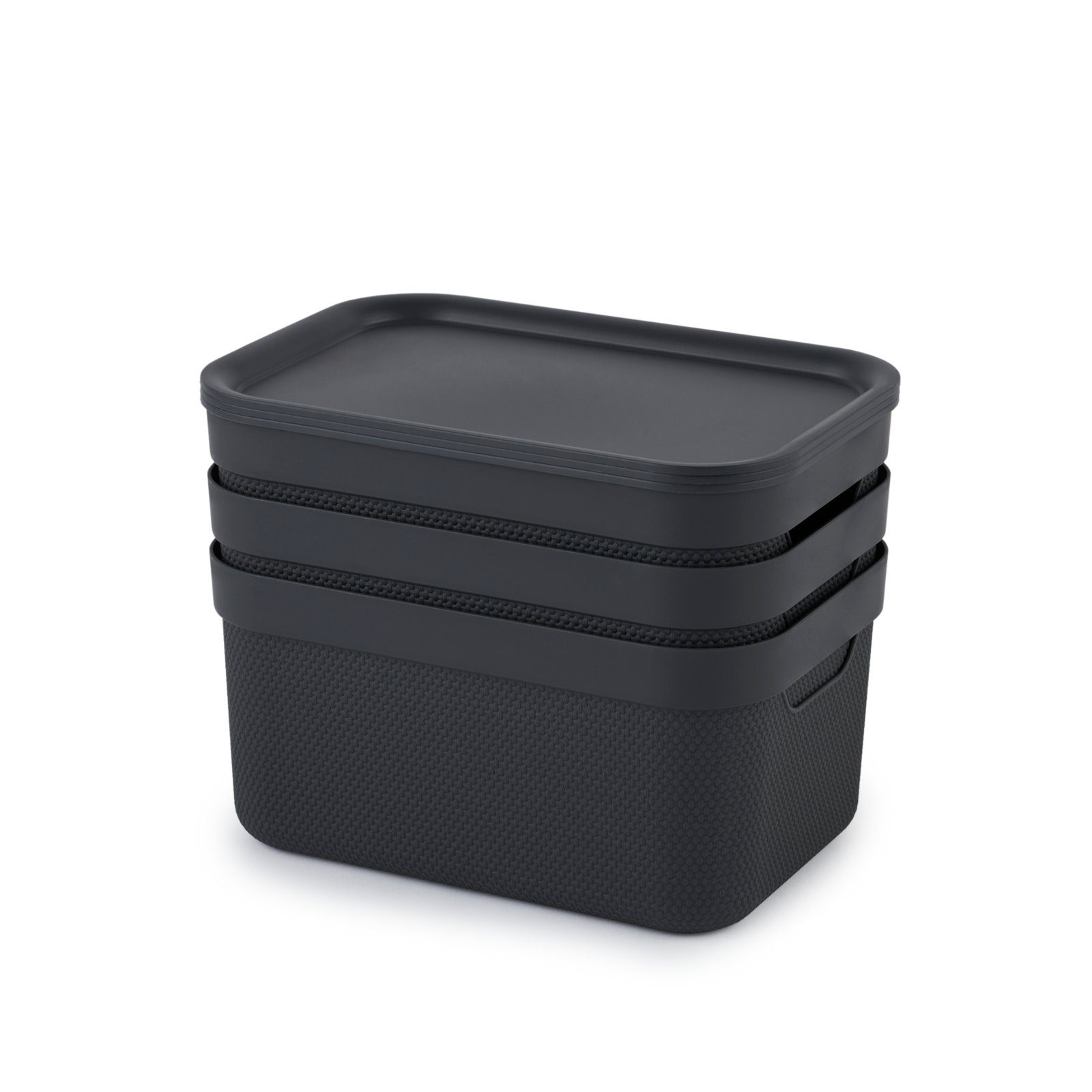 ROTHO Aufbewahrungsbox Jive Dekobox 3er-Set Aufbewahrungskorb 5l mit Deckel (Aufbewahrungsset, 3er-Set)